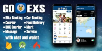 Goeks v2 Multi service providing app with admin panel