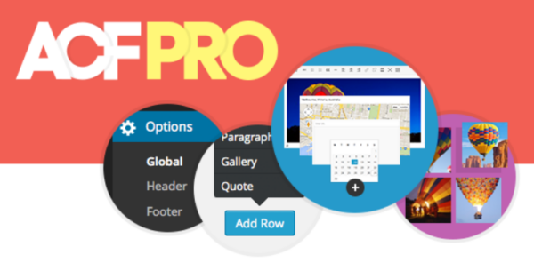 Advanced Custom Fields Pro