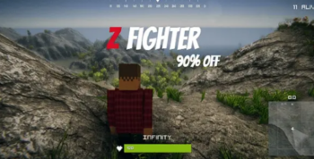 Z – Fighter / Pubg Clone
